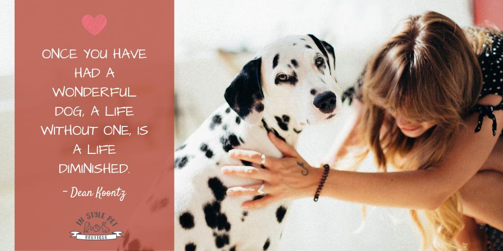 InStylePet's tweet image. “Once you have had a wonderful dog, a life without one, is a life diminished.” ~ Dean Koontz 

Follow us on Facebook for more animal quotes, tips and product specials! #ThursdayThoughts facebook.com/instylepets1/