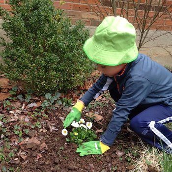 MacKidCanada's tweet photo. So, #spring is here (almost). Start planning for a #family #garden. https://t.co/m1ENMrIjPw https://t.co/bP0A7LAVXU