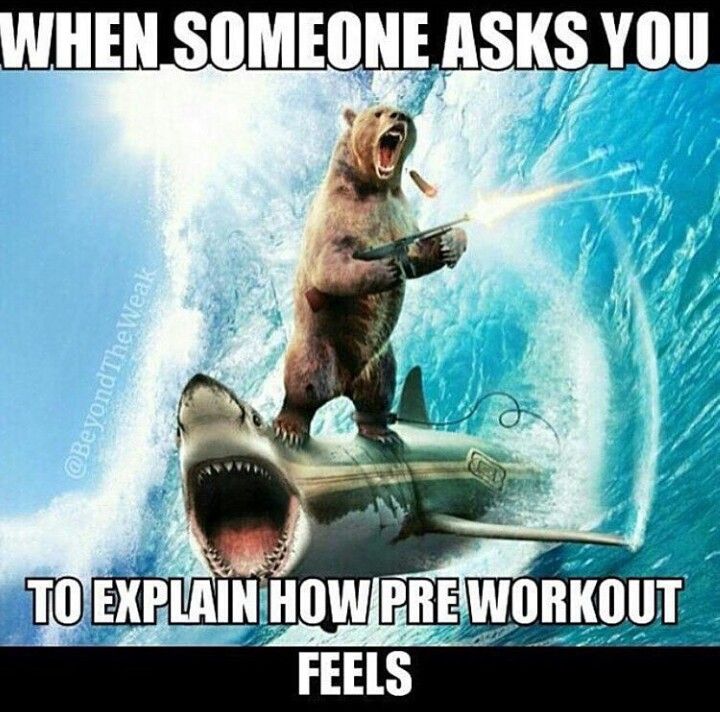 #GymFlow™ tweet media
