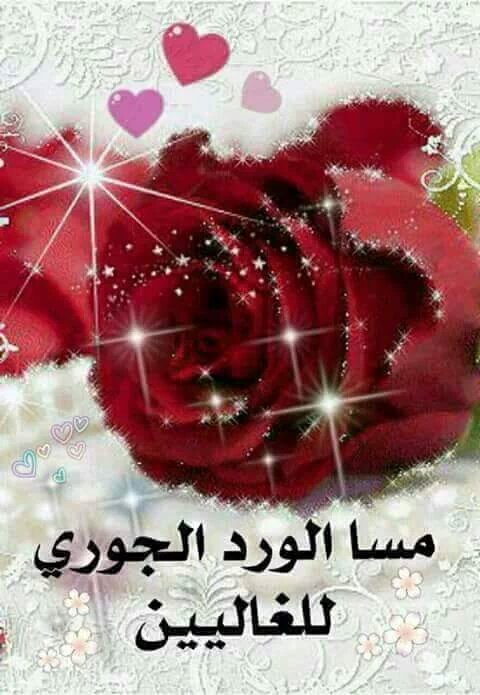 ♚جولان♚ tweet media