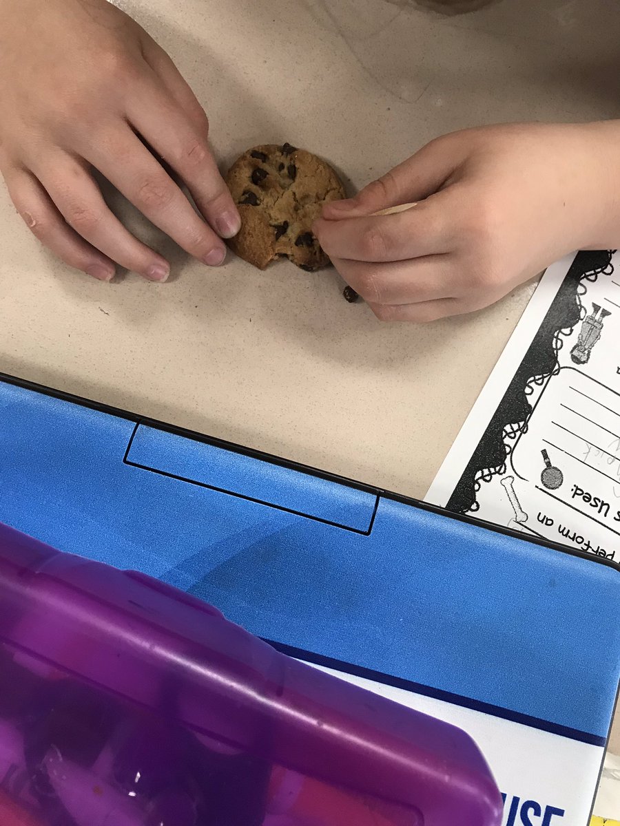 Shannon Drake tweet media