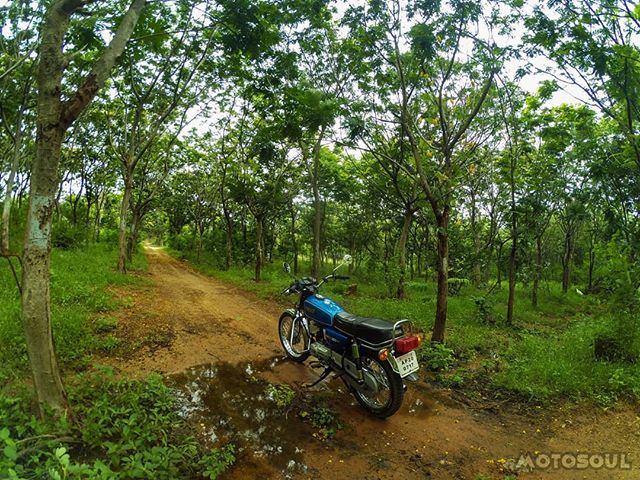 hassanelyas_'s tweet photo. The clearest way into the universe is through a forest wilderness | #2stroke | #chrome | #biker | #motorcycles | #imtheindianbiker | #retro | #vintagestyle |#india | #caferacer | #instamotogallery | #save2stroke | #oldtimer | #oldtimes | #hyderabad | #no… https://t.co/xpizn63Kfq https://t.co/2hnbvFqV0k