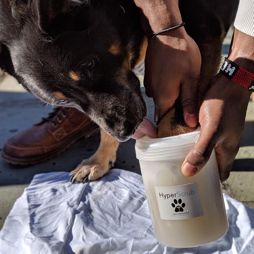 hyperscrub's tweet photo. It's quick, easy to use and clean, and it protects your dog's paws against bacterial infections. 
It’s the HyperScrub, the first medical-grade dog paw scrubber, and our campaign is now on Indiegogo.
Check us out here 👉https://t.co/Qxy2RbgLoo https://t.co/36IeQq0Qyd
