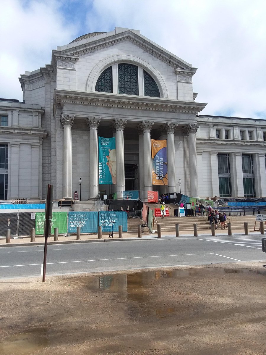 greyhoundsupe's tweet photo. Shippensburg Area Intermediate School 5th Grade visited the Smithsonian American History Museum and the Natural History Museum when they visited our Nation's Capitol and also saw some of our National Monuments this week. https://t.co/JizXAcVC46