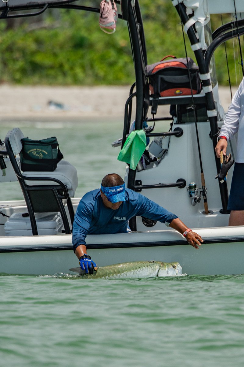 A record breaking 88 Tarpon were caught (and released) in our 8th Annual Tarpon Tournament. We raised a total of $125,000 which goes towards protecting wildlife at the J.N. "Ding" Darling NWR. We'd like to thank our host &amp; sponsor <a href="/DocFords/">Doc Fords Rum Bar & Grille</a> for another successful year!