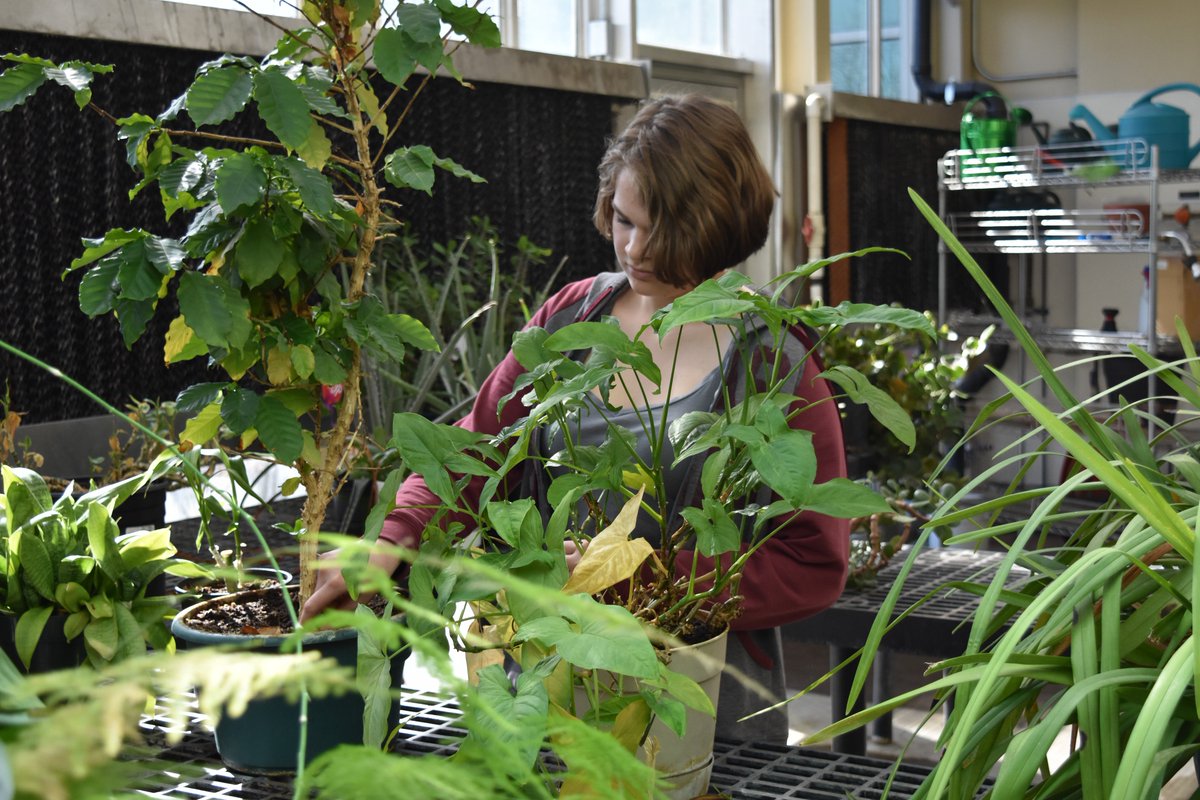 spokaneschools's tweet photo. ๐ฟ๐น๐ณThe #ShadlePark HS Plant Science & @NationalFFA club present their #Spring plant sale, just in time for #MothersDay. Large assortment of house plants, flowers & veggie starts available 3-5:30pm today (May 9) & Friday (May 10), corner of Wellesley & Ash. #Spokane #plantsale https://t.co/7T9UdmlOX6