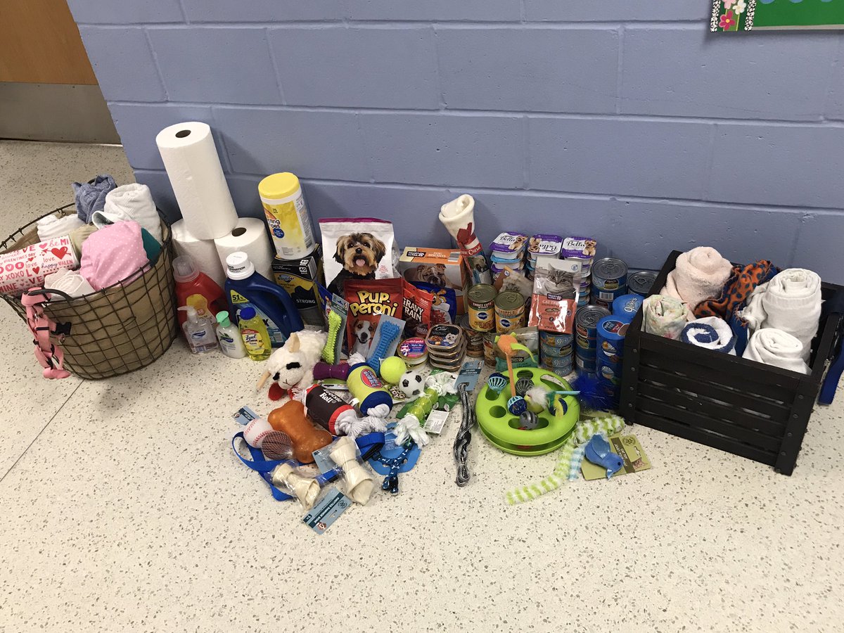 StilesKelley's tweet photo. WOW!!! The AAA 3rd Grade Donation Drive for the @TheMCSPCA is in FULL EFFECT with just 6️⃣ days left!!! We have collected $188 and pictured are just SOME of the donations we have collected!! #thankful for all of our donors who are helping to teach our students #kindness! 💚🐾💚 https://t.co/n59l2gslZ1
