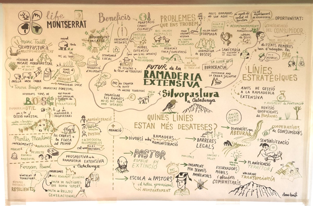 Cercavores's tweet photo. Un complert resum visual de la sessió sobre #RamaderiaExtensiva #Silvopastura del seminari #LIFEMontserrat avui a @MonStBenet https://t.co/ZkwnB3ZkW1