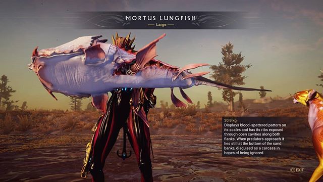 saiyuki_requiem's tweet photo. My kavat is eyeing the fish lol so I did some fishing on cetes on lake thot
#fish #fishing #warframe #valkyr #white #earth #cetes #planes #eidolan #30.9kg #mortus #lungfish #large #lake #screenshot #ps4 #female #streamer #youtube #youtuberMy kavat is eyeing the fish lol so I… https://t.co/rLri4cm2Tv