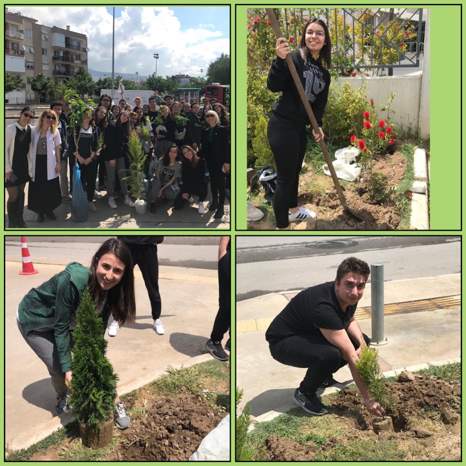 CigliDoga's tweet photo. Okulumuzun ilk mezunları, “Doğa”da bir iz bıraktılar. Mezuniyet hatırası olarak diktikleri fidanları ilkokul ikinci sınıf öğrencilerine emanet ettiler. 🌱
@KvancBarlas @SelinGundogu @Glrbci 
#ciglibilimdogakoleji #lise #ilkmezun #doğadabirizbırak #hatıra #eğitim #sosyalsorumluluk https://t.co/PXUCWrwUCx