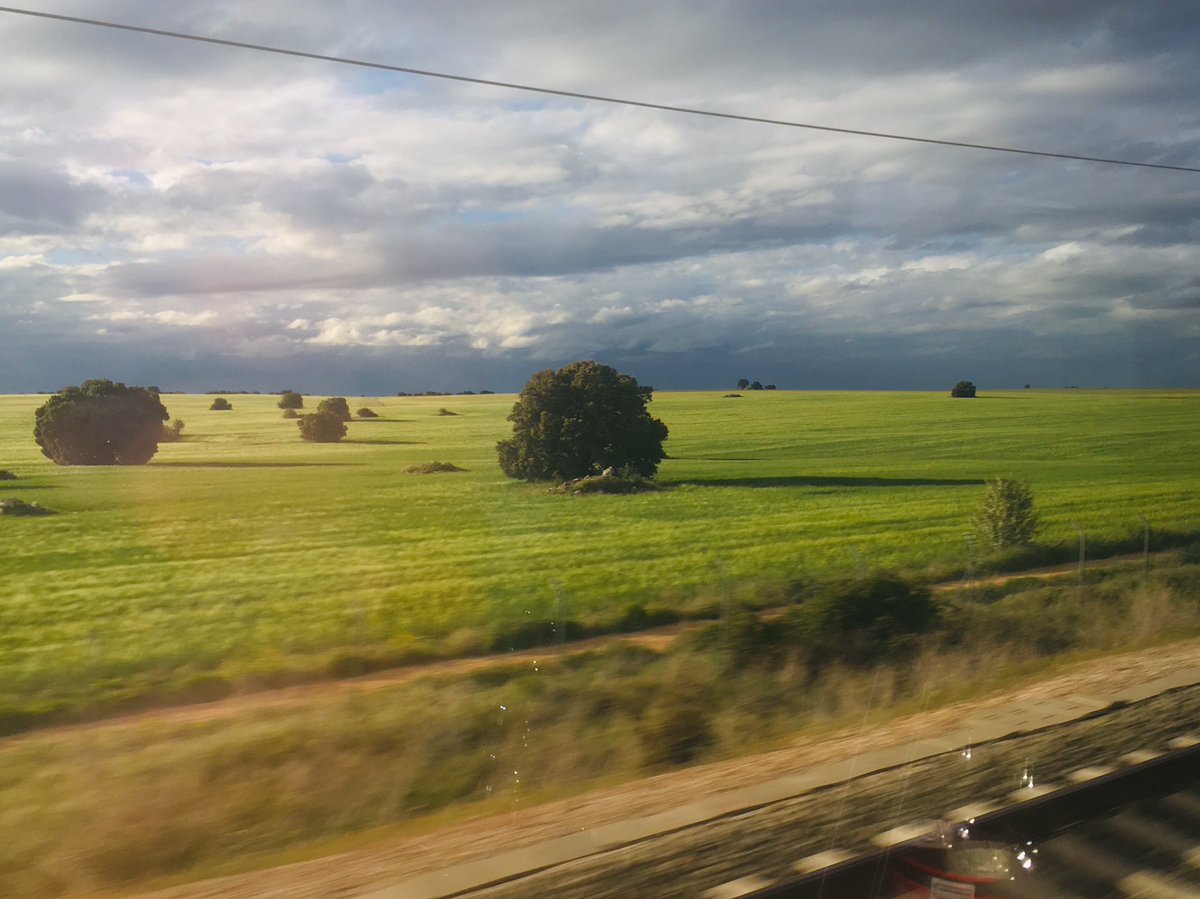 Back home after attending the #ecologiaSECF meeting, full of interesting presentations and good people! Thanks to the organizing committee for the excellent organization!