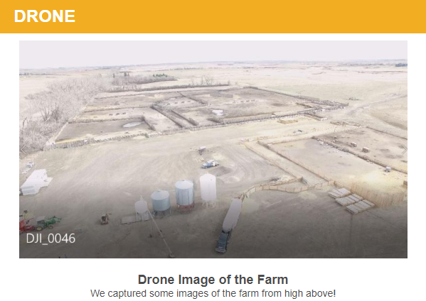 May Newsletter! myemail.constantcontact.com/May-2019-Newsl…