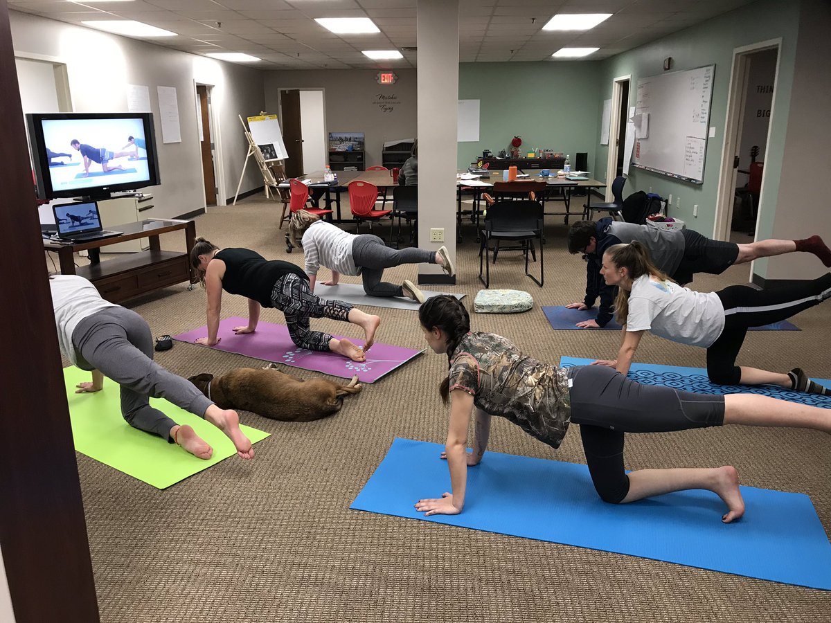2RoadsAcademy's tweet photo. Yoga kind of afternoon https://t.co/daumL7Wdzq