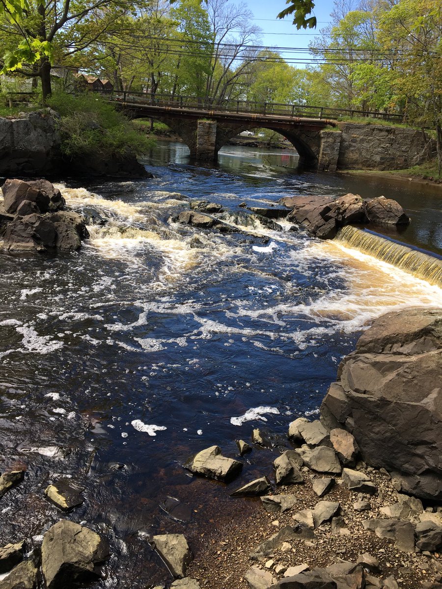 ipswich_river's tweet image. Another nice spot on the Ipswich River #lowtide #RiverZen