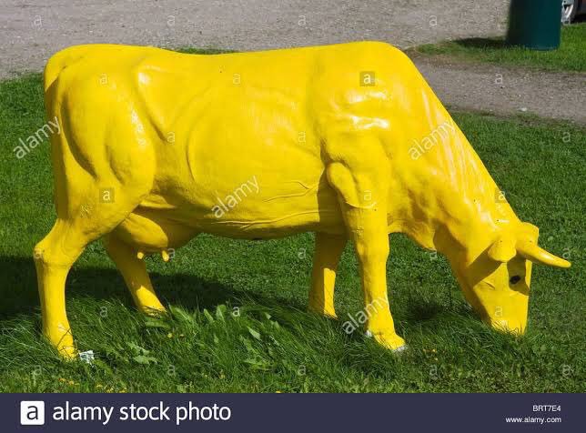 Ver imagen en Twitter