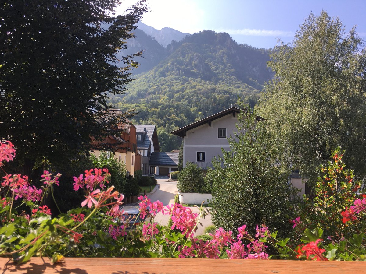 Ipswich_Tours's tweet image. There's still time to join us in Bavaria! ipswichtours.com/small-group-to…