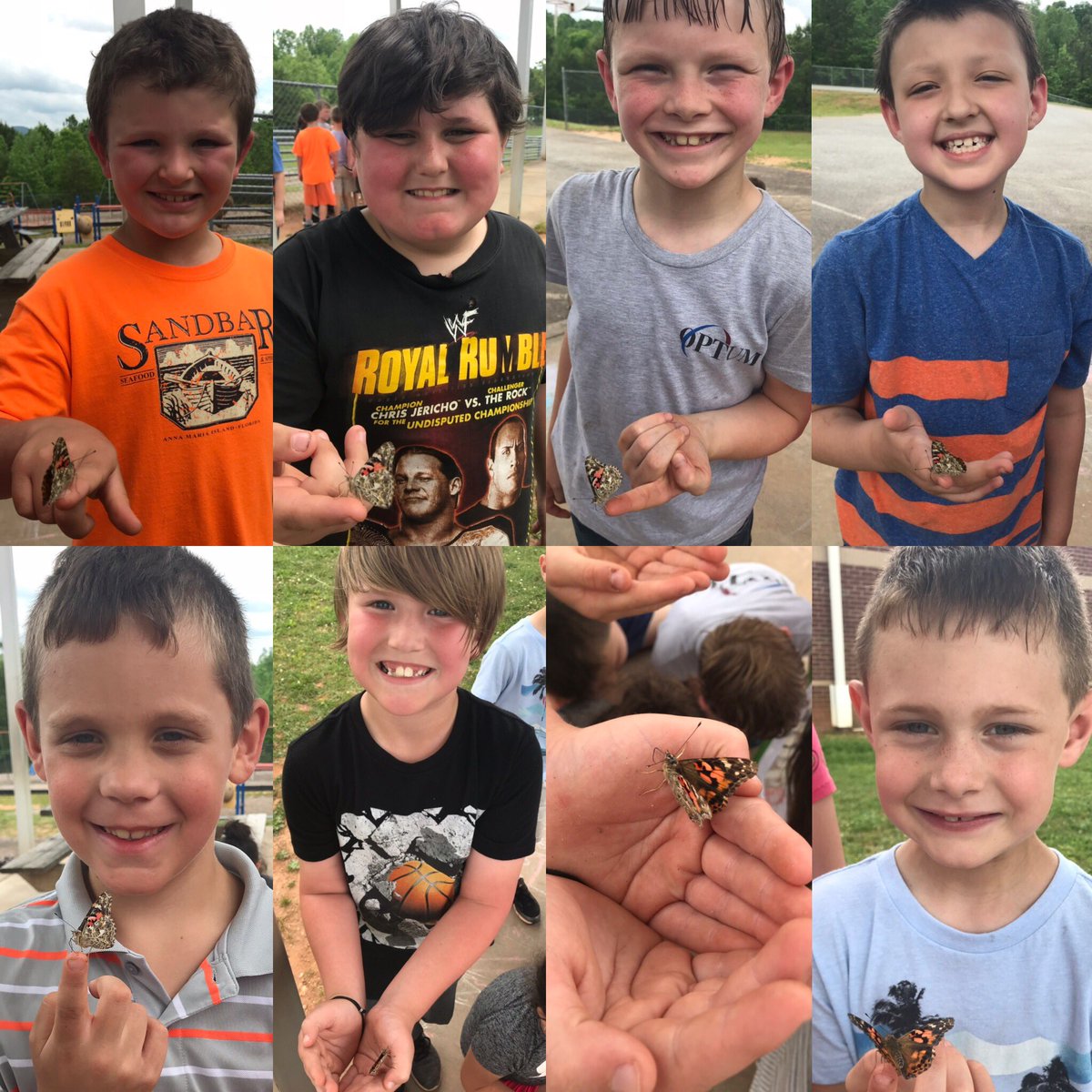 Jennifer_Stille's tweet photo. Butterfly Release Day: Boys Edition 🦋 https://t.co/9AwIcxSeX5