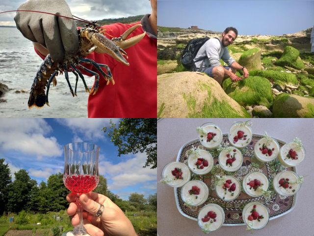 HedgerowForager's tweet photo. 50% discount with code "springsaver2019" on May &amp; early June #Dorset #foraging courses - Seashore walk nr Weymouth 18/5, Seaweed and Eat It nr Weymouth 19/5 May &amp; Booze Walk - Dorchester 1/6
 Details and booking on https://t.co/K4LgVcgNpe https://t.co/3ro9oMa1SQ
