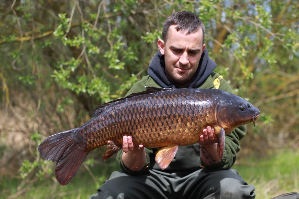 • Team Neb
•Lee Ward
•04/05/2019
•Undisclosed venue

Managed 3 angry hard fighting commons over the weekend with the biggest being 24lb 4oz, all fell to a bed of Irish nut &amp; a critically balanced white PCB pop up 

#northeastbaits | #neb | #teamneb #qualitybaitsmoretakes