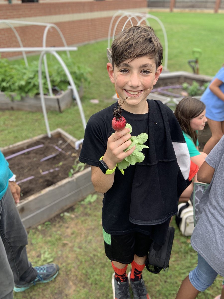 MissPeccarelli's tweet photo. #tce5th loves harvest day! #TCETexans https://t.co/n8tJOCD9uc