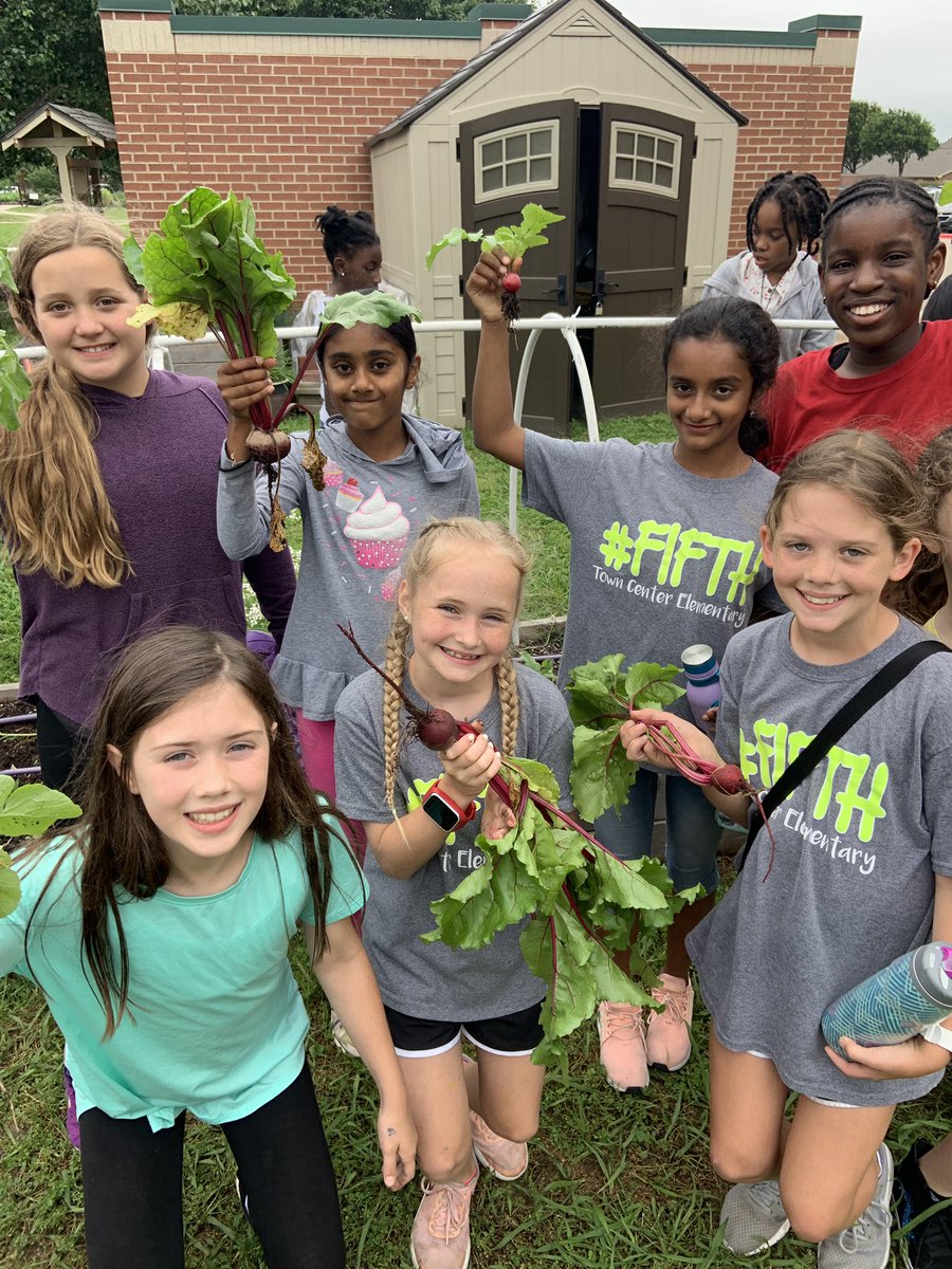MissPeccarelli's tweet photo. #tce5th loves harvest day! #TCETexans https://t.co/n8tJOCD9uc
