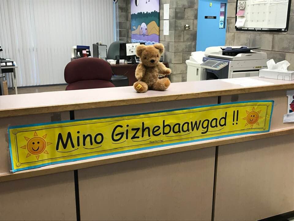 #BearWitnessDay tomorrow!  We had an early visitor today!  Take your bears to school and work! Show support for Jordan's Principle @CaringSociety @SpiritBear
