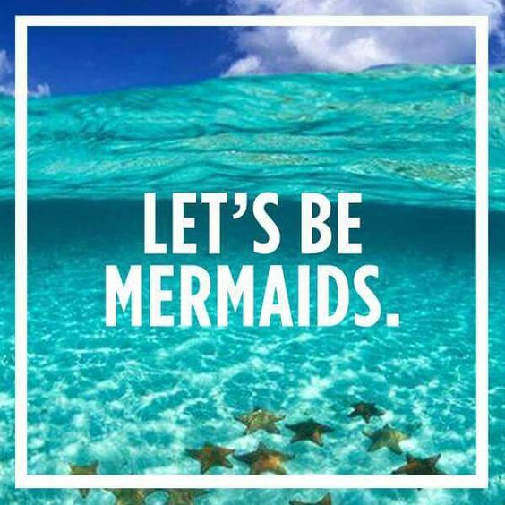 PlanetMermaid's tweet photo. It's the only way we know.....🧜♀️
#ocean #blue #sea #sealife #mermaids #mermaid #planetmermaid #mermaidswimming #mermaidlife #mermaidtail #mermaidsarereal #monofin #magicfin #fins #sea #shellyeah #islandlife #beachready #beach #summervibes https://t.co/IghRhHRTO4