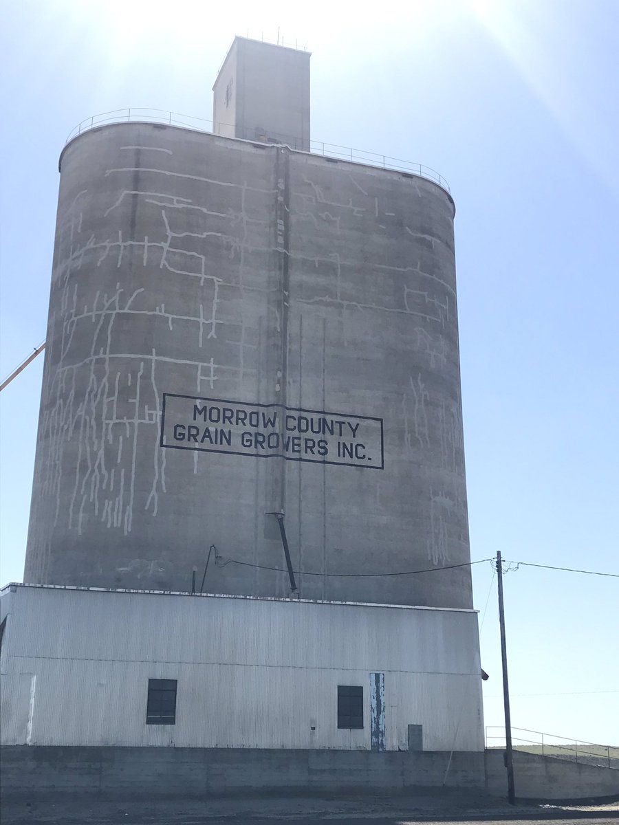 MidMoFarmBoy's tweet photo. Meeting with Morrow county wheat farmers in Lexington, Oregon to update @AFPCTAMU representative wheat farm.  @FAPRI_MU https://t.co/uQO72L7Jst
