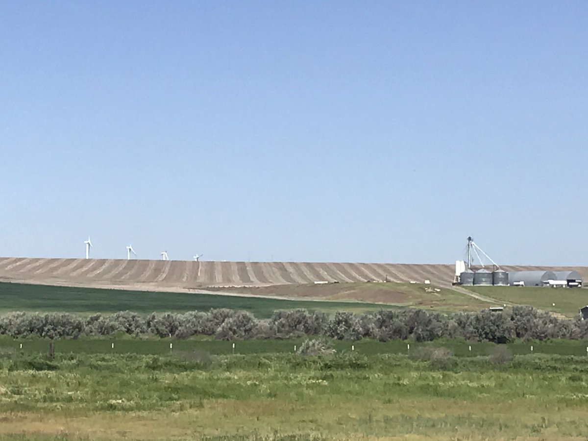 MidMoFarmBoy's tweet photo. Meeting with Morrow county wheat farmers in Lexington, Oregon to update @AFPCTAMU representative wheat farm.  @FAPRI_MU https://t.co/uQO72L7Jst