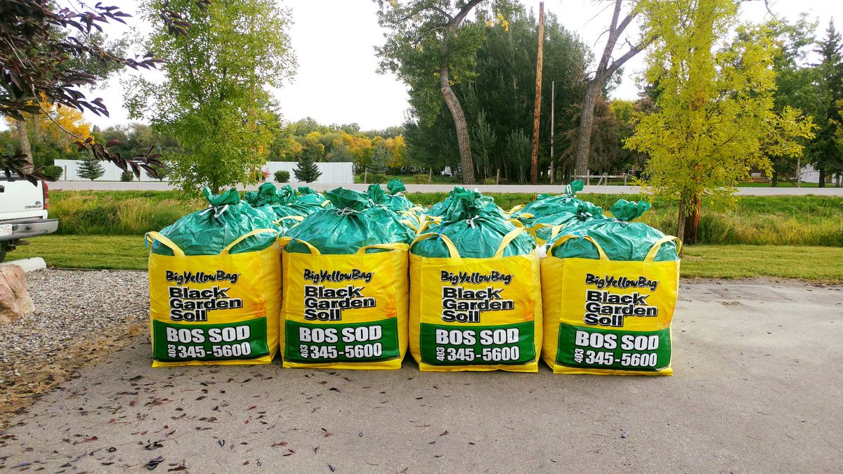 Bigyellowbag Thebigyellowbag Twitter