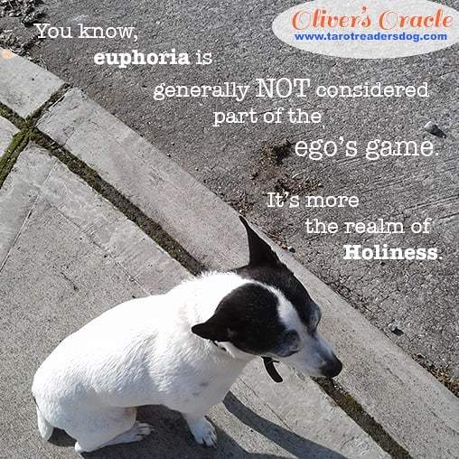 TarotReadersDog's tweet photo. Happy Holy Thursday!
#euphoria #holy #laughter #happiness 
#dogwisdom #dig #it #spreadthelove https://t.co/PN7C5YRRbX https://t.co/lJkOJq8MEp