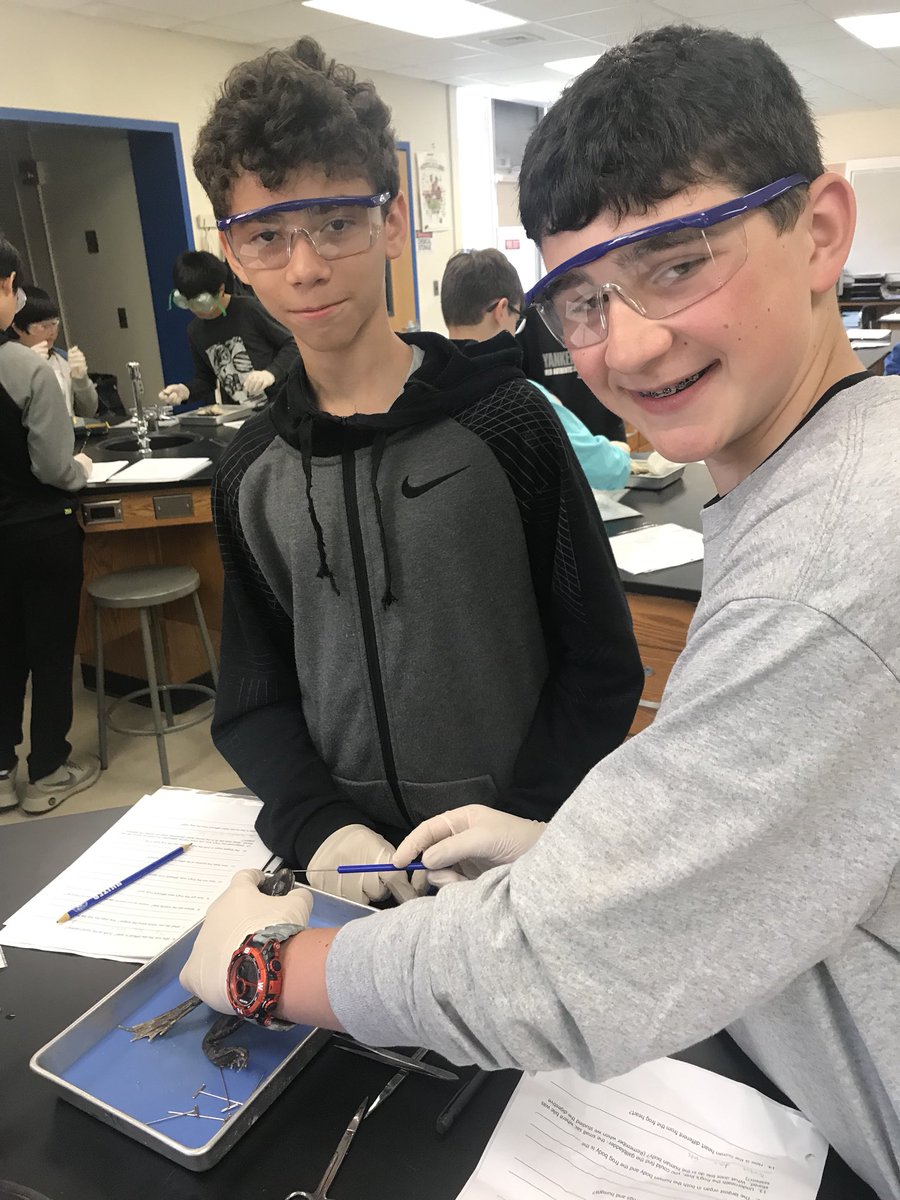 MsProctorMath's tweet image. I took a swing by Ms. Goodliffe’s #7Science lab today to get in on some of the frog dissecting fun! #EHS