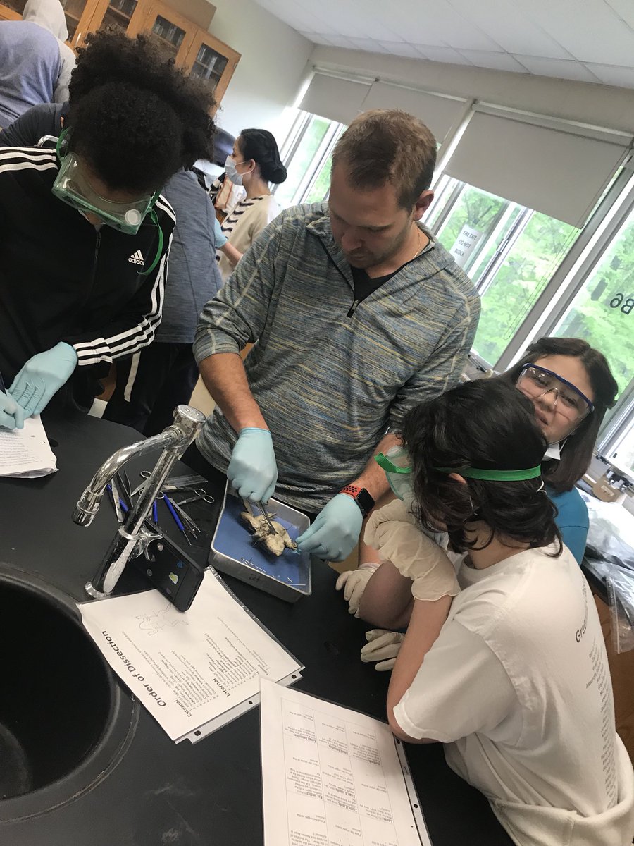 MsProctorMath's tweet image. I took a swing by Ms. Goodliffe’s #7Science lab today to get in on some of the frog dissecting fun! #EHS