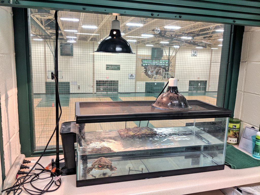 PCHSPhysEd's tweet photo. We are proud to introduce Mario, the newest member of the PE Department. He has the best seat to watch the Pacer test, Pickleball, and all the other fun activities that go on in the field house. Feel free to stop by the PE Office and say hello! https://t.co/CYzlYKMZNC