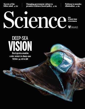 Our paper published in Science is finally out (with the cover too!): science.sciencemag.org/content/364/64…
