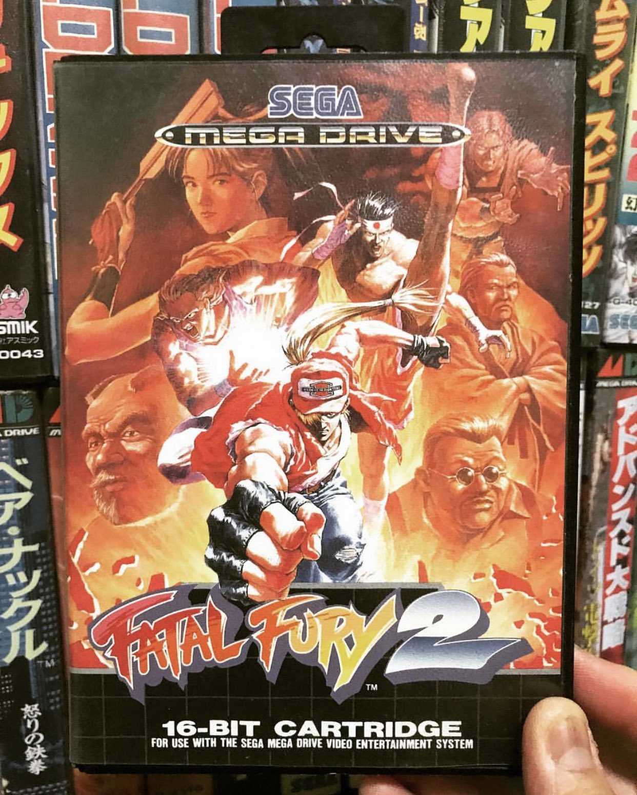 cohost! - Fatal Fury 2 on the Mega Drive