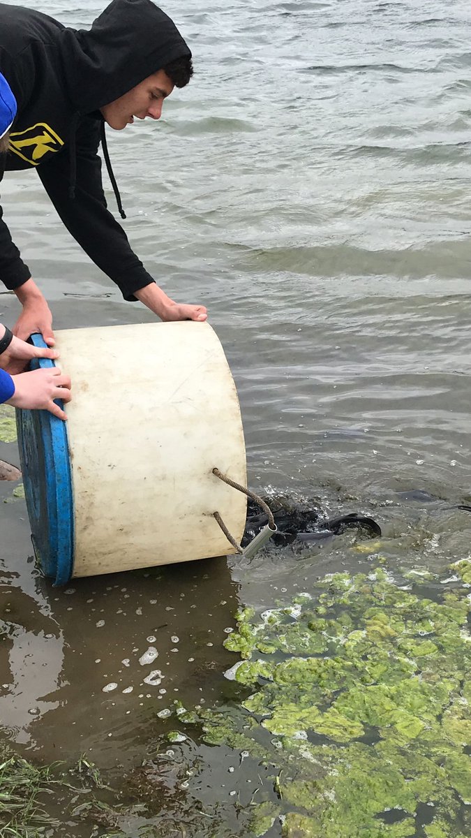 Bellevue BIG tweet media