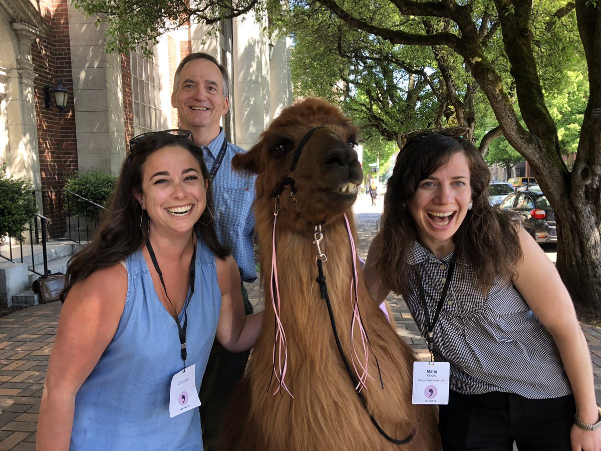 Casual gathering of the <a href="/ResearchOrgs/">ROR community (inactive Nov 2024)</a> fan club at #csvconf 🦙🦁