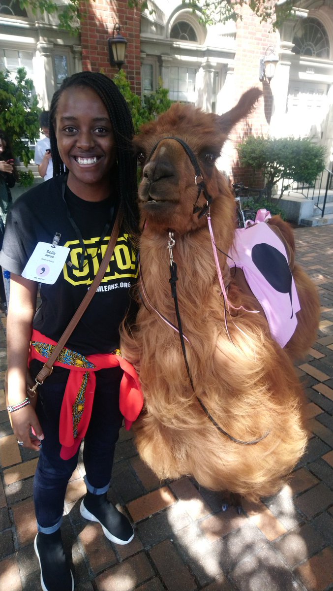 soila_kenya's tweet image. Idk about y&apos;all but I&apos;ve never been to a conference with a Llama 😂. I present to you the #csvconf #commallama 🐐