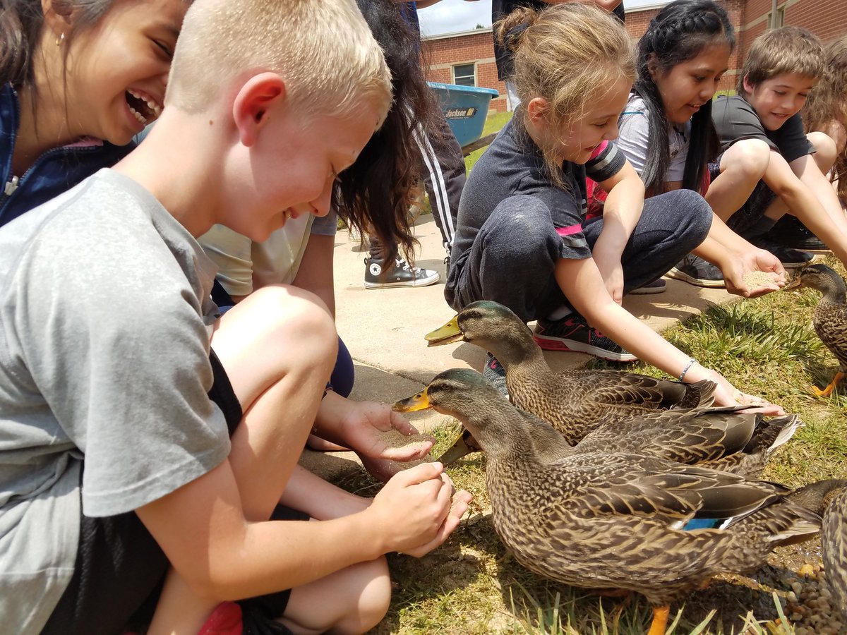 James Vaughn tweet media