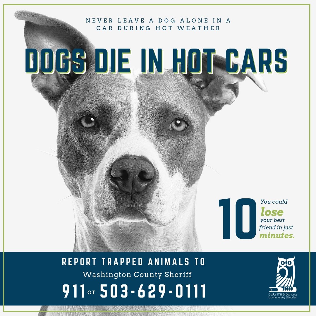 Cedar Mill & Bethany Libraries on Twitter "Pls RT! Like most carpacked parking lots in PDX