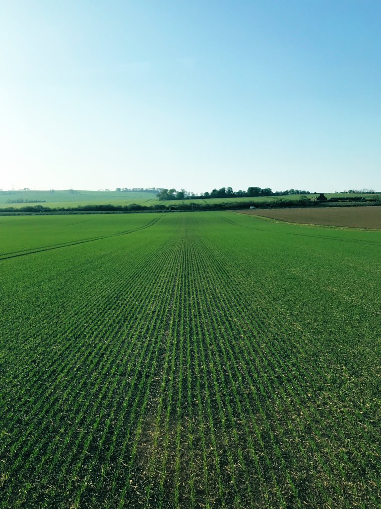 neil_mcewan's tweet photo. 👌Horsch Pronto 6DC doing well #nooverlapneeded #Greenstar #RTK #Implementguidance @HORSCHUK @Sherriffgroup @greenagcrop https://t.co/TgKKTNpUfs