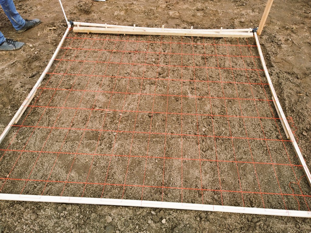 Amit_Kumar_PhD's tweet photo. Starting an inter-cropping experiment with very unusual combinations. Having a wise neighbor is the key to yield advantages. Half way through setting up 60 plots. 
@TempertonLab https://t.co/ZonKQUQRno
