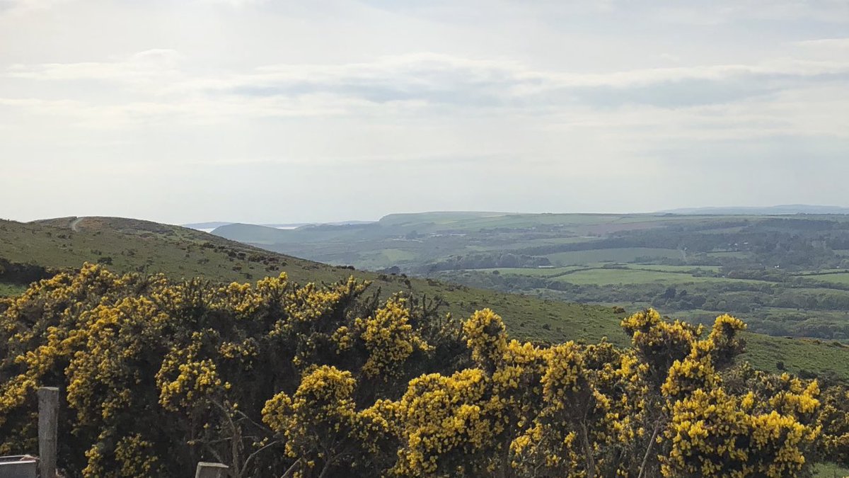 I love working on the Purbeck such a vast contrast of low and high lands heath lands and shore lands for the bees to forage.