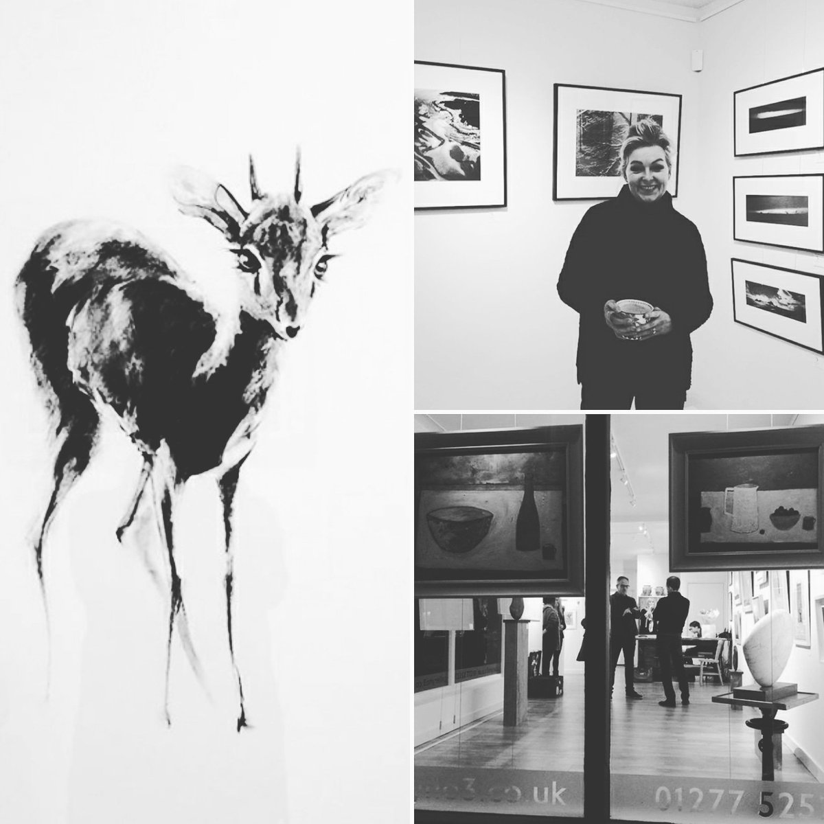 WrittleArt's tweet photo. Introducing a prestigious new #sponsor for the #WucShow2019. Carol runs Gallery No.3 @PeacocksArt showcasing specially selected contemporary painting, sculpture, photography, ceramics and artisan jewellery in the heart of the bustling little town of Ingatestone in Essex. https://t.co/tZxh6LrwjW