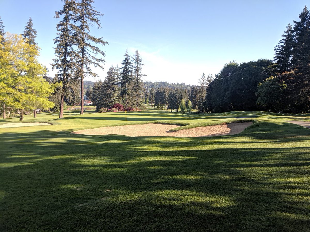 jeff_mingay's tweet photo. Sand installed at Inglewood’s recently restored 17th hole, originally laid out by Vernon Macan, in 1919. 

Thanks @igc1919 for the photo, and the great work. https://t.co/Jivpk9KrKA