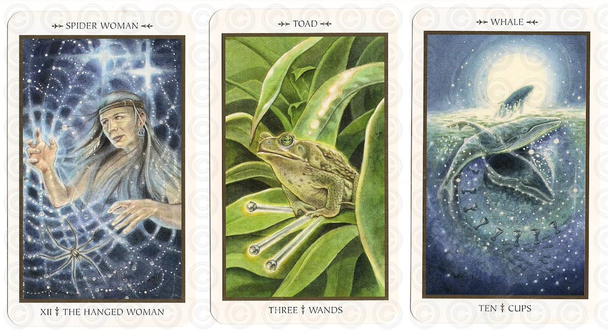 zannastarr's tweet photo. What you need to know, need to do, need to avoid. A sample reading using The Animals Divine Tarot - today on Tarot Notes! https://t.co/uz3qjS75KB #tarotnotes #zannastarr #tarotreading #tarotcards #divination #tarot https://t.co/3ZK8dXNLg0