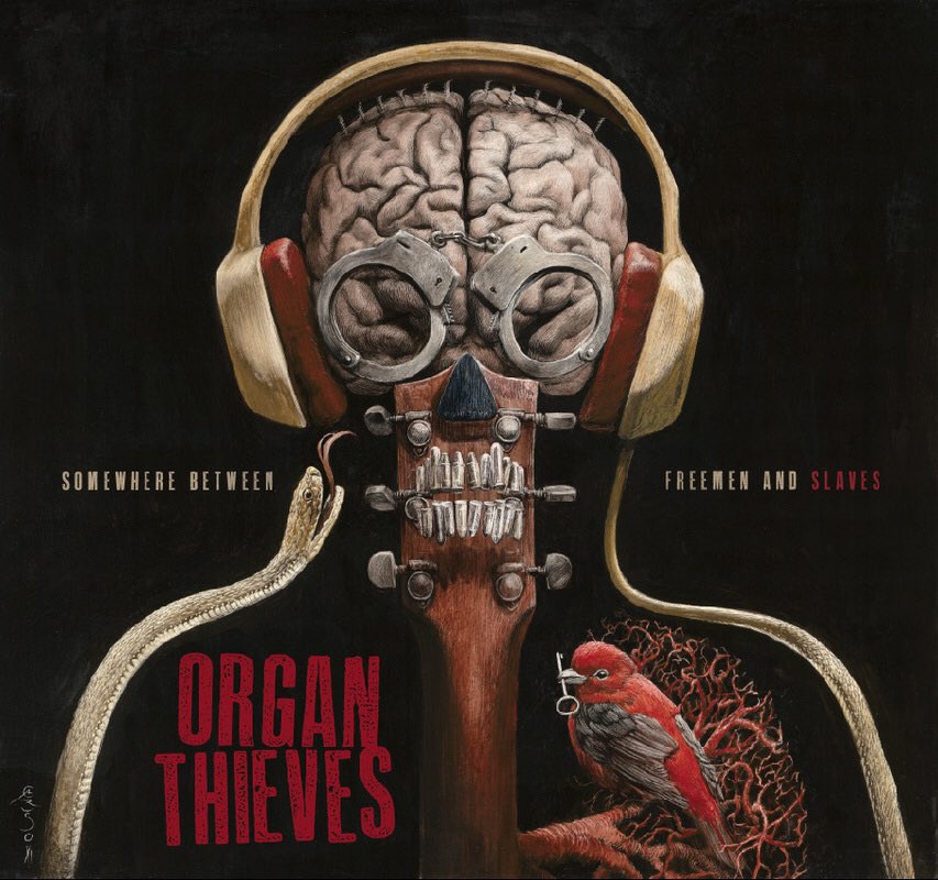 santiagocaruso's tweet photo. #Cover albums by #SantiagoCaruso for @tragicculture #tragicculture @organthieves #organthieves @bigjohnbates #bigjohnbates @alltrapsonearth #blacktarprophet @blacktarprophet cktarprophet #alltrapsonearth @psicosfera__ @bellanovelamusic #bellanovela #illustration #music https://t.co/baUIX4pZ4Z