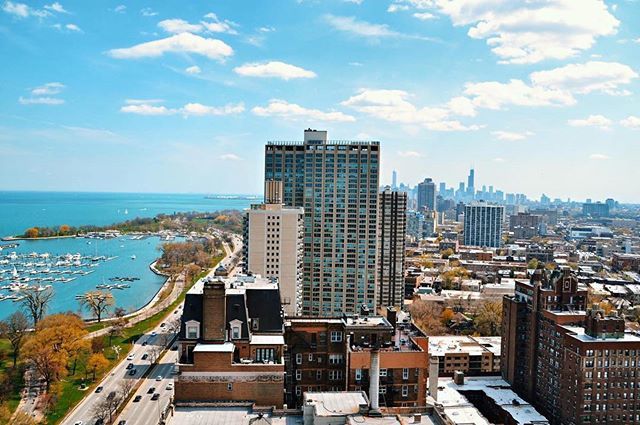 Chicago_Area's tweet photo. Photo by: @ms.maddiehealy https://t.co/OYjeGA8O8p https://t.co/WdBEKxurQj