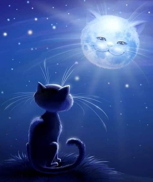 Доброй ночи добрых снов картинки. Доброй ночи. Открытки спокойной ночи. Спокойной ночи сладких снов. Спокойной ночи с кошками.